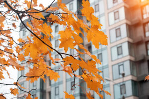 Autumn in the city